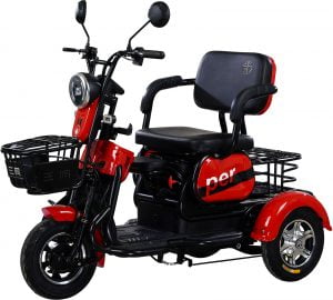 nhap-khau-xe-dien-3-banh-300x270