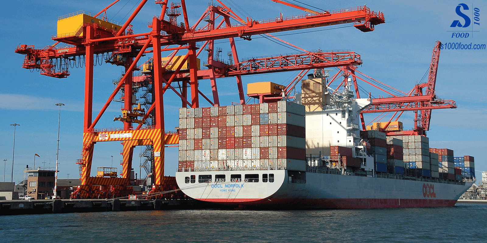 uy-thac-xuat-nhap-khau-hien-nay-1-1