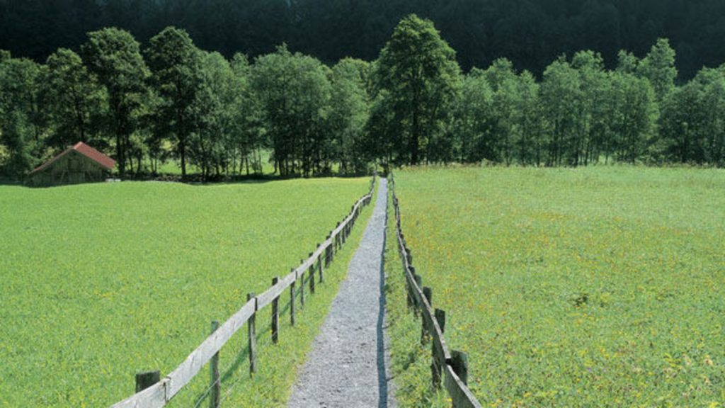 Lối đi tự mở là gì