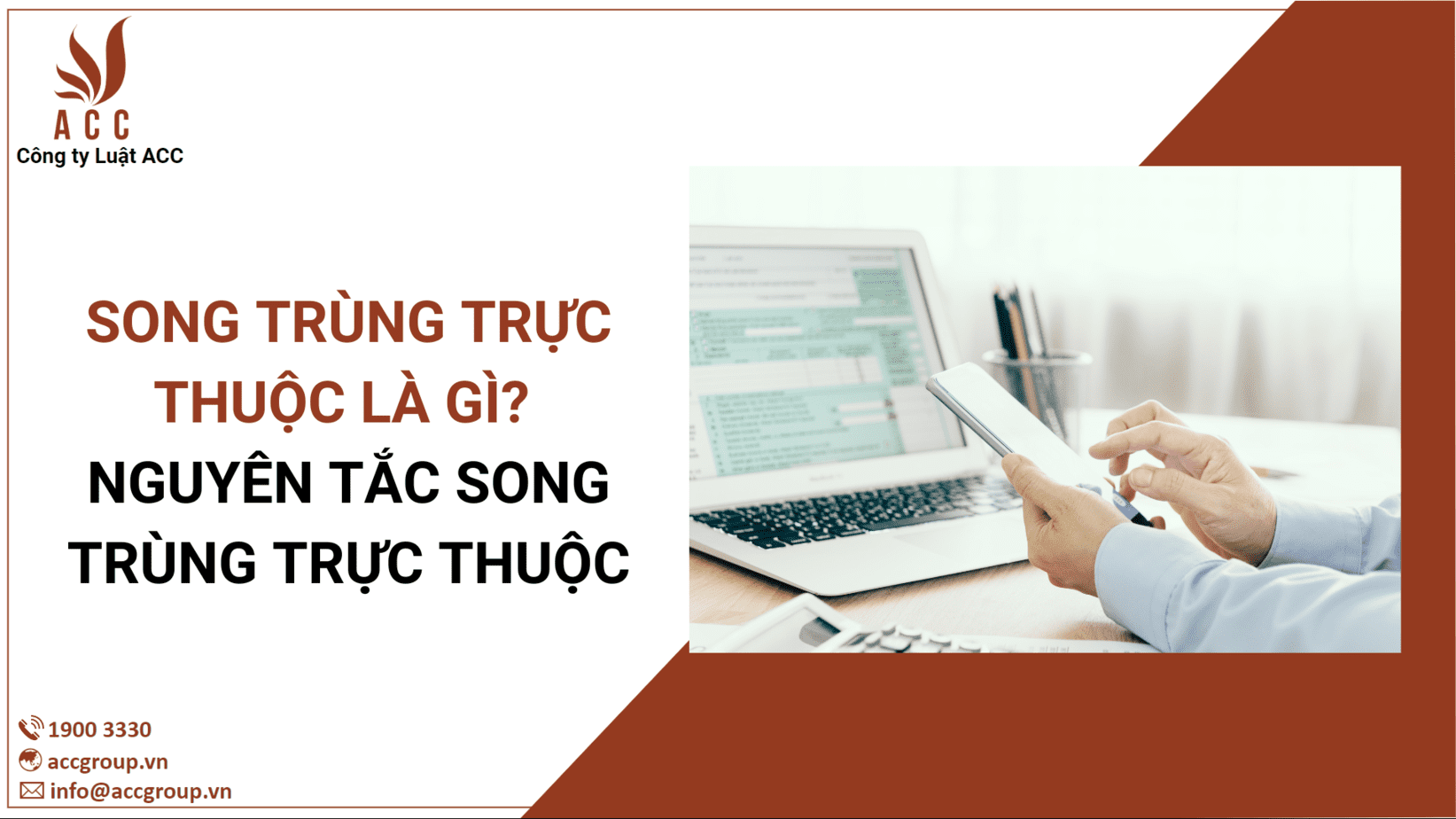 Song trùng trực thuộc là gì? Nguyên tắc song trùng trực thuộc