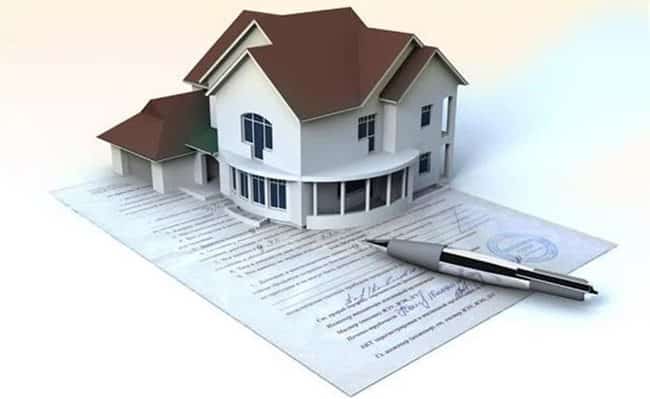 bo-me-mat-tai-san-duoc-chiathe-nao-cho-con-nuoi-con-ruot