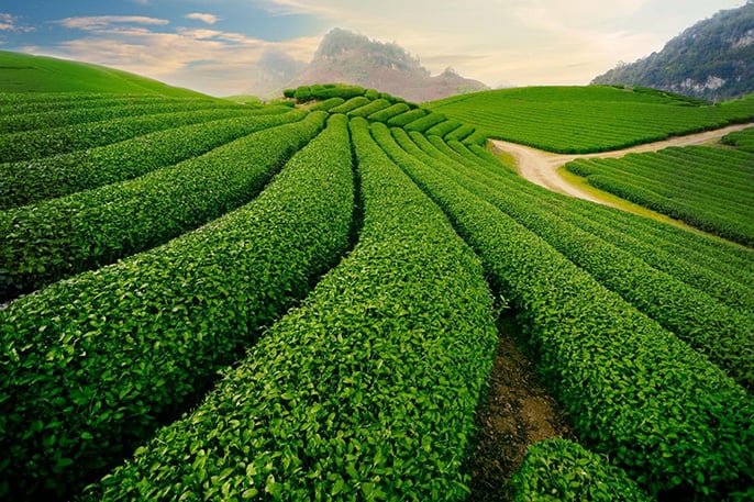 luật đất đai là gì