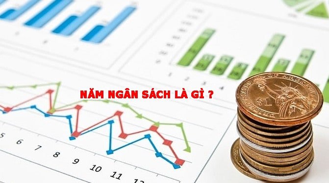năm ngân sách là gì