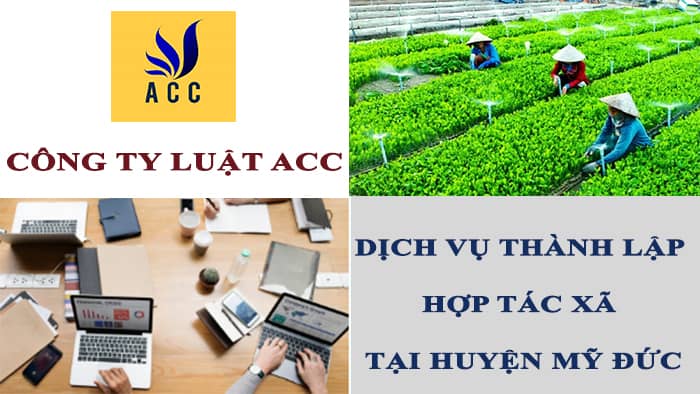hop-tac-xa-co-phai-la-doanh-nghiep-khong-4-2