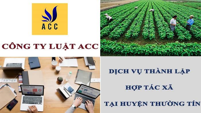 hop-tac-xa-co-phai-la-doanh-nghiep-khong-4-8
