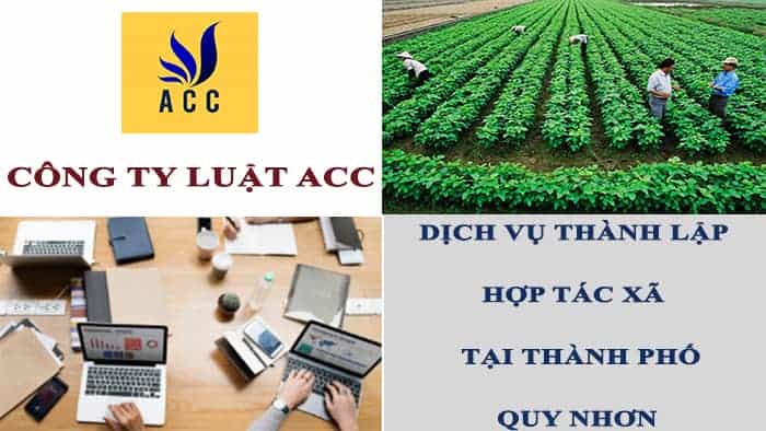 hop-tac-xa-co-phai-la-doanh-nghiep-khong-4-Recovered