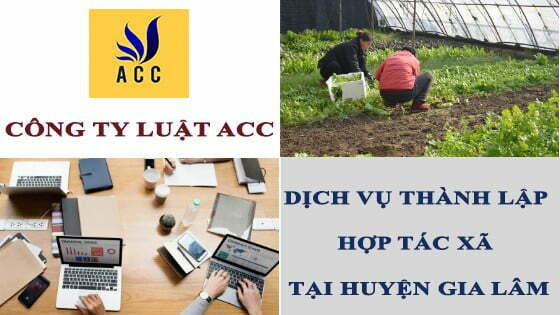 hop-tac-xa-co-phai-la-doanh-nghiep-khong-4