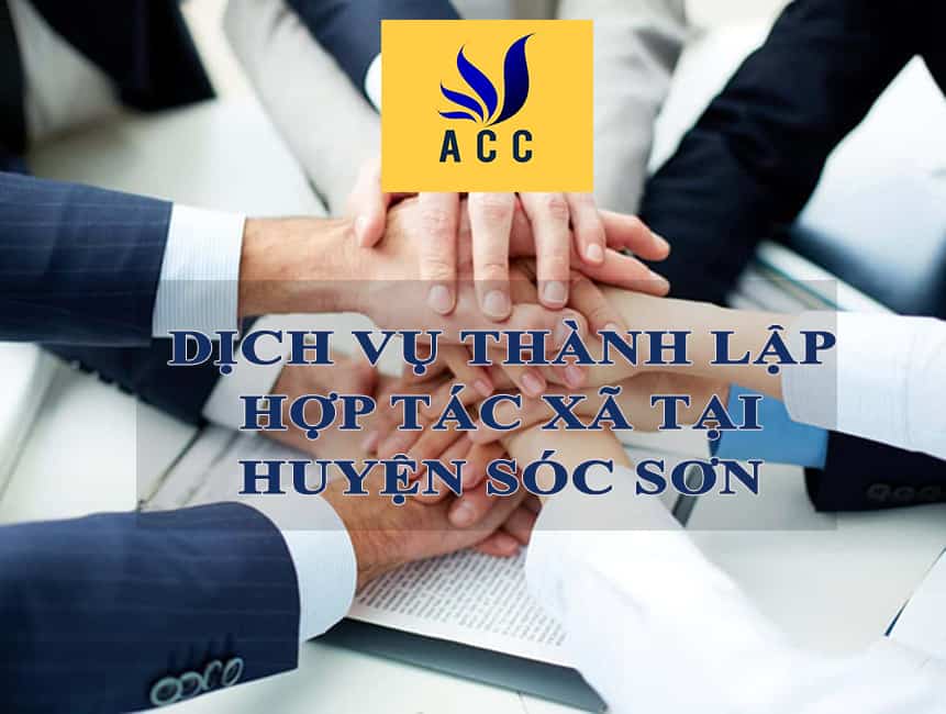 nen-thanh-lap-hop-tac-xa-hay-cong-ty