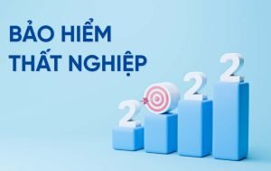 Tra Cuu Bao Hiem That Nghiep