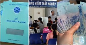 Tim Viec Lam Timviec365.vn