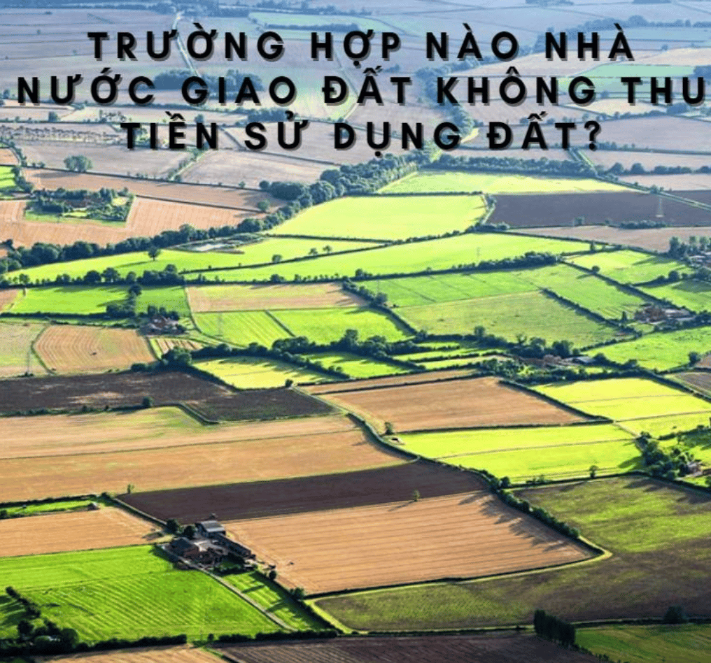 Ảnh Chụp Màn Hình 2022 08 16 Lúc 15.19.34