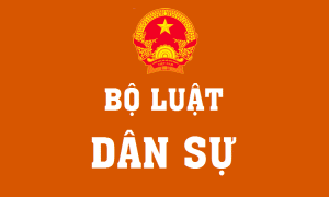 Bo Luat Dan Su 2015 1401100124