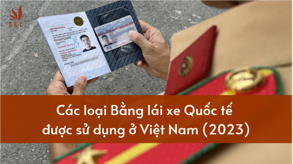Các loại Bằng lái xe Quốc tế được sử dụng ở Việt Nam (2023)