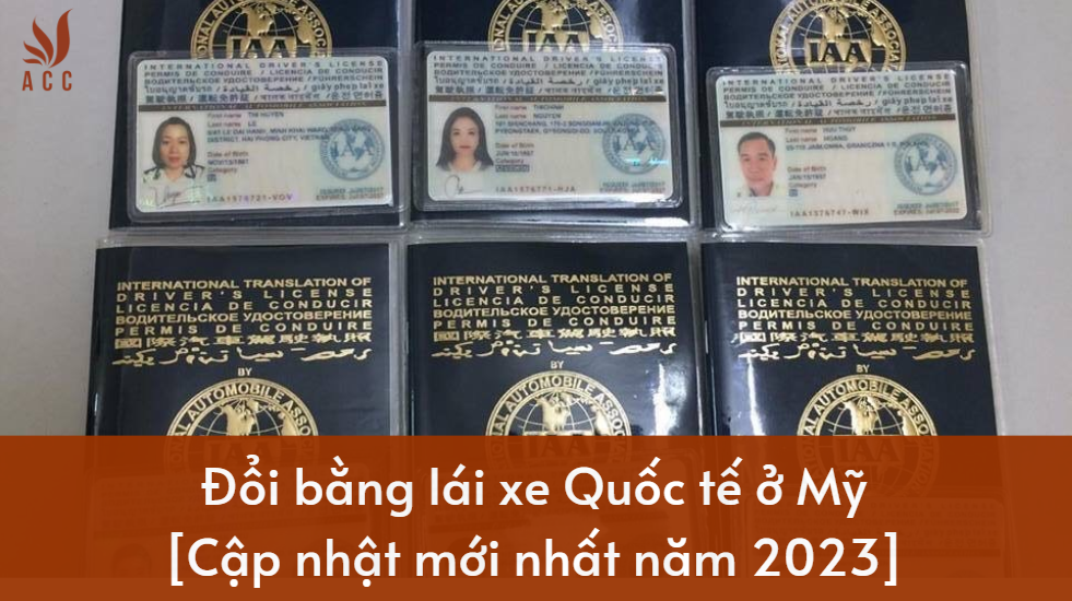 Đổi bằng lái xe Quốc tế ở Mỹ [Cập nhật mới nhất năm 2023]