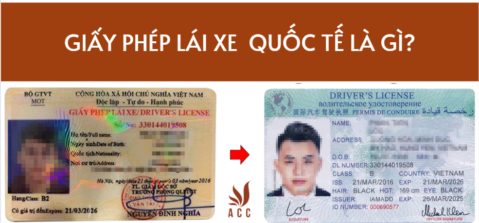 Giấy phép lái xe Quốc tế là gì? 