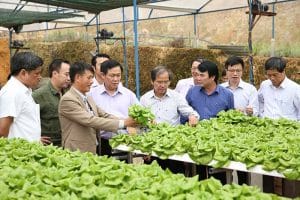 Mô Hình Hợp Tác Xã điển Hình Cập Nhật Thông Tin Năm 2022