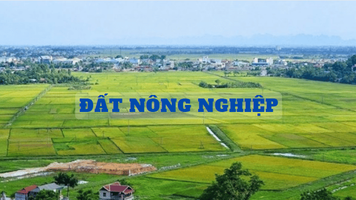 Phân Tích Khoản 3 Điều 131 Luật Đất đai Năm 2013 1
