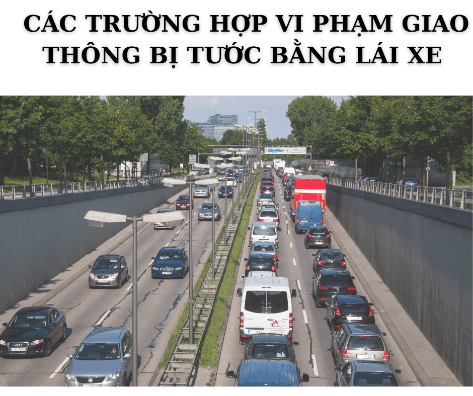 ThỦ TỤc CẤp GiẤy PhÉp LÁi Xe 2022 (2)