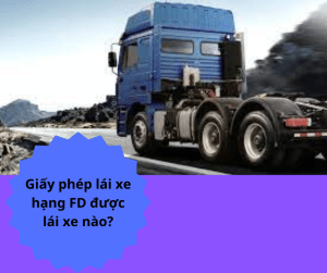ThỦ TỤc CẤp GiẤy PhÉp LÁi Xe 2022 (4)