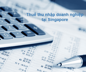 Tổng Quan Về Thuế Thu Nhập Doanh Nghiệp ở Singapore