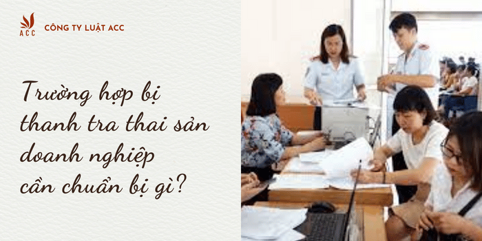 Trường Hợp Bị Thanh Tra Thai Sản Doanh Nghiệp Cần Chuẩn Bị Gì