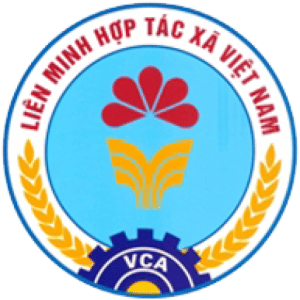 Cropped Logo