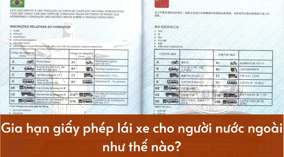 Gia hạn giấy phép lái xe cho người nước ngoài như thế nào?