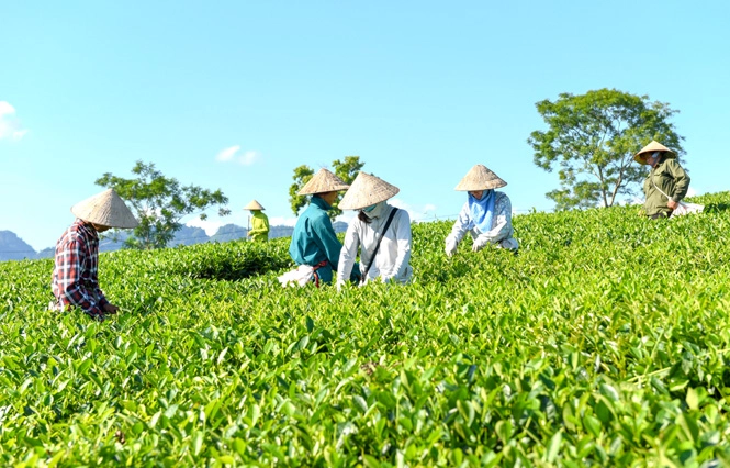 Hop Tac Xa Co Tu Cach Phap Nhan Ke Tu Ngay 3