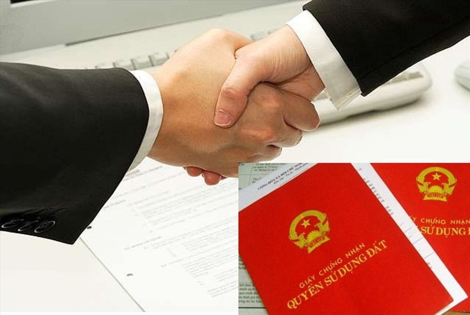Quy định Pháp Luật đất đia Về đồng Sở Hữu