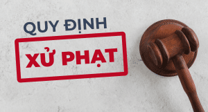 Quy định Xử Phạt