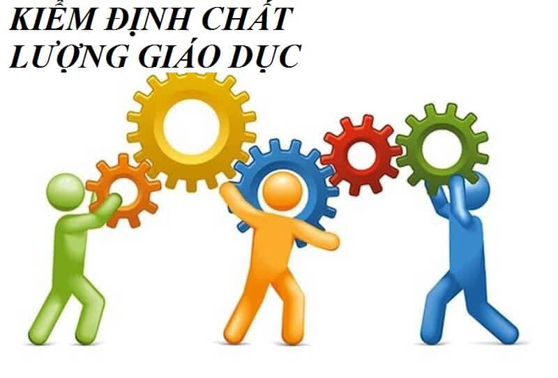 Kiểm định Chất Lượng Giáo Dục,timviec365.com.vn