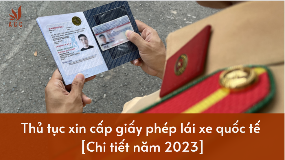 Thủ tục xin cấp giấy phép lái xe quốc tế [Chi tiết năm 2023]