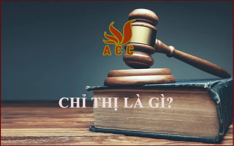 Chỉ Thị Tiếng Anh Là Gì Công Ty Luật Acc