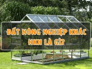 Đất Nông Nghiệp Khác Là Gì (cập Nhật 2022)