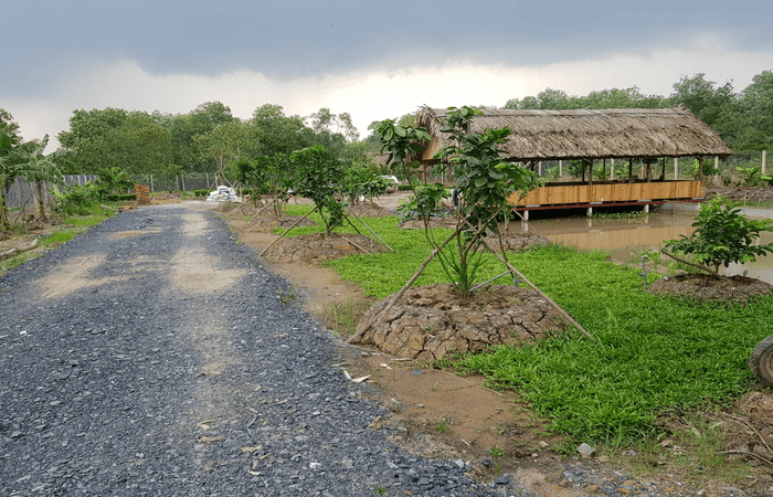 Đất Thổ Vườn Là Gì?
