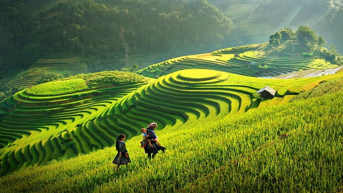 Du Lịch Xanh Là Gì? Cơ Hội Phát Triển Du Lịch Việt Nam