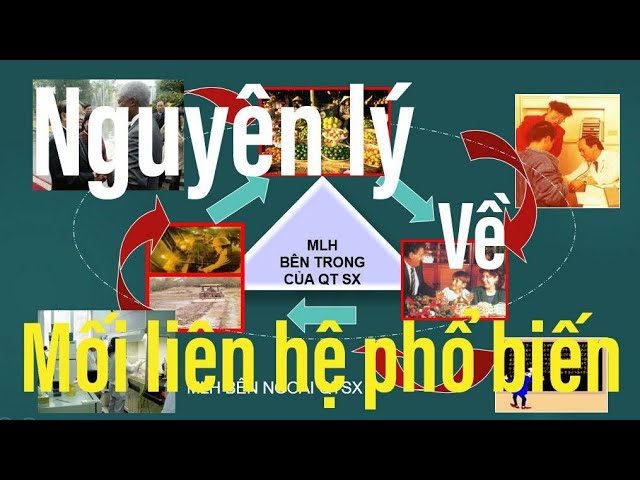 Mối Liên Hệ Phổ Biến Là Gì Nguyên Lý Về Mối Liên Hệ Phổ Biến