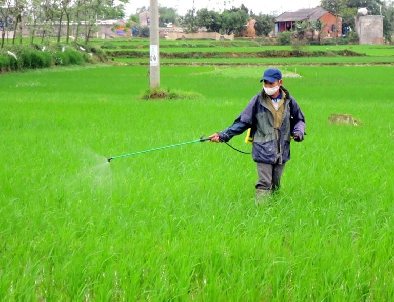 Phòng Trừ Tổng Hợp Dịch Hại Cây Trồng Là Gì