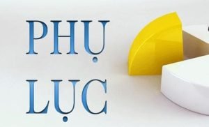 Phu Luc Hop Dong