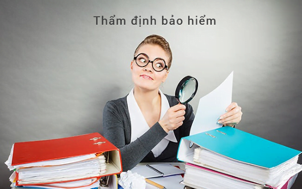Thẩm định Bảo Hiểm Là Gì?