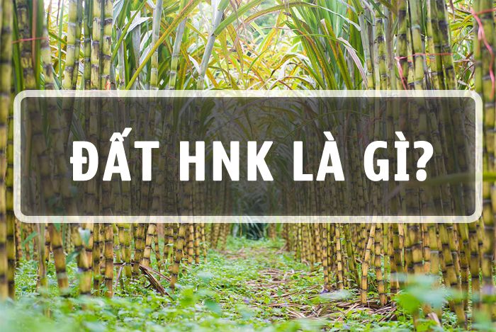 Dat Hnk La Gi 1
