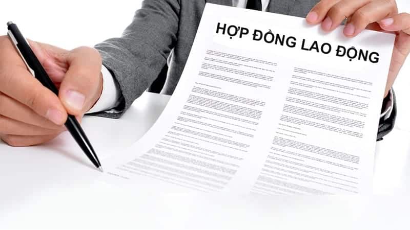 Nội Dung Hợp đòng Lao động