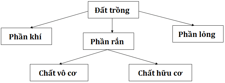 1 Thanh Phan Cua Dat Trong Min