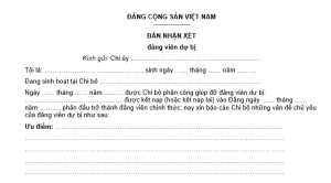 Ban Nhan Xet Dang Vien Du Bi