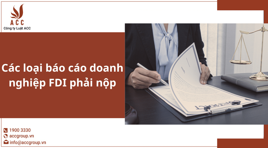 Các Loại Báo Cáo Doanh Nghiệp Fdi Phải Nộp