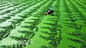 Điều 142 Luật Bảo Vệ Môi Trường 2020 Công Ty Luật Acc