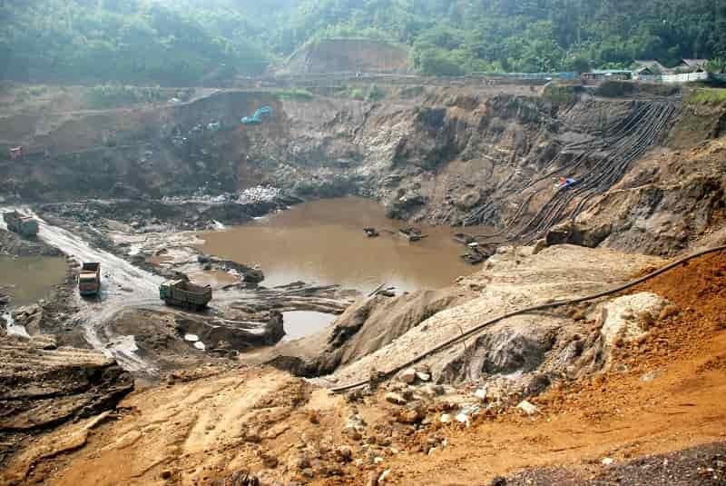 Khoản 1 Điều 43 Nghị định 36 2020 NĐ Cp