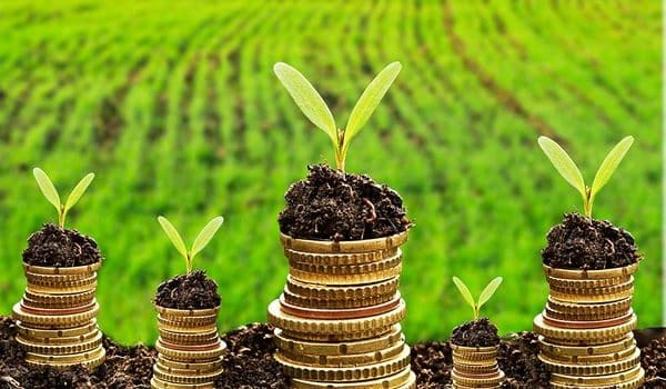 Kinh Tế Môi Trường Là Gì (cập Nhật 2022)