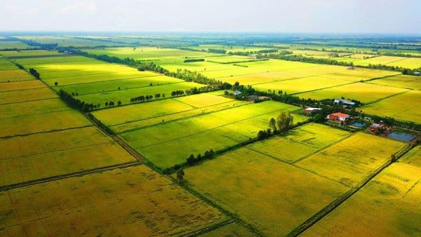 Mẫu Hợp đồng Mua Bán đất Nông Nghiệp Viết Tay