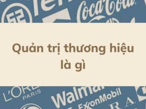 Ngành Quản Trị Thương Hiệu Là Gì